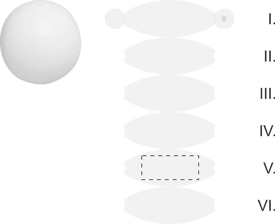 segment 5