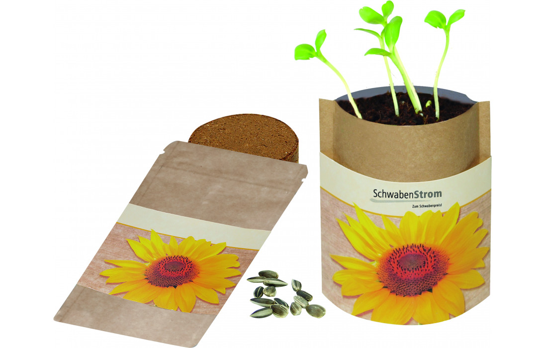 Give-aways für den Frühling